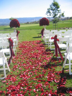 Red Rose Petals, Rustic Dried Flowers Confetti - image2